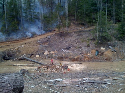 alternate description