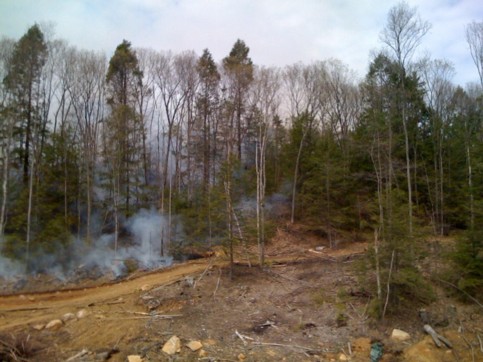 alternate description